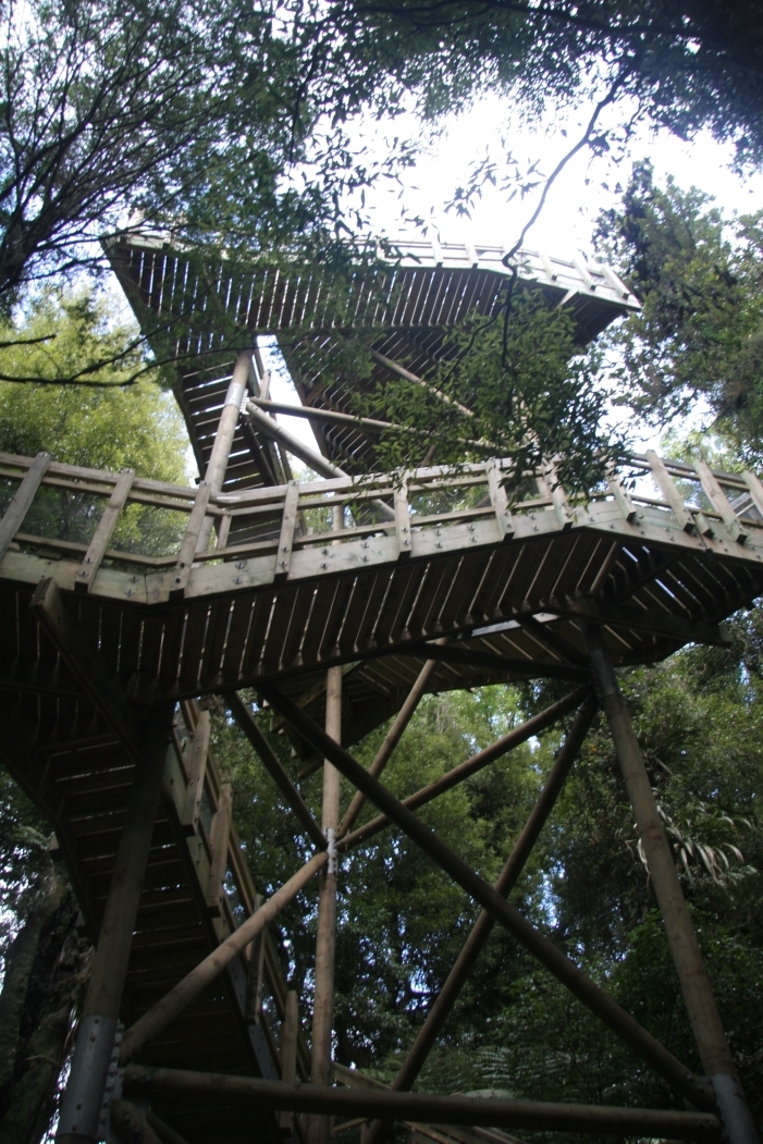 Wooden Tower Maungatautari